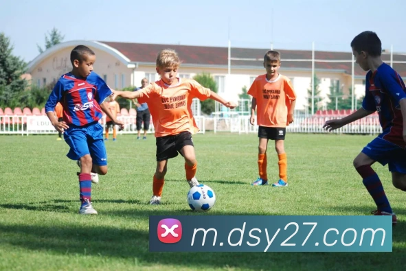 大三元官网平台登录服务体系